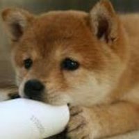 Takehiro Asai (@take_asai) 's Twitter Profile