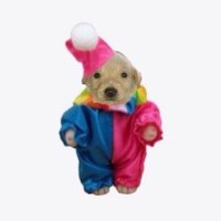 서커스단장 (@huthutha_da) 's Twitter Profile