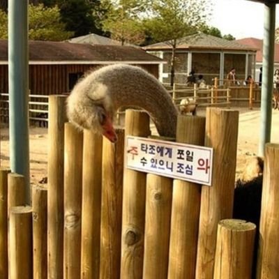 ostnotrixh's profile picture. 내가 여배극에게 간다