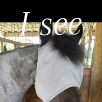 H2O (@h2o_tedd) 's Twitter Profile