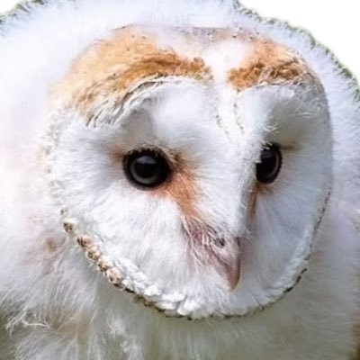 F59Cn's profile picture. 