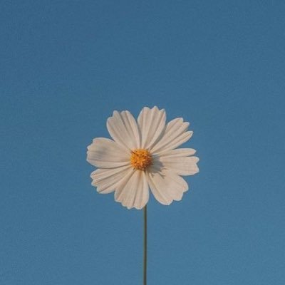 lifeofgloria_'s profile picture. marketing ops girlie