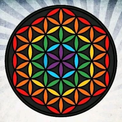 Soy conservacionista por la naturaleza, especies promisorias, (árboles que se están agotando y que son vitales para la tierra y para el medio ambiente.
