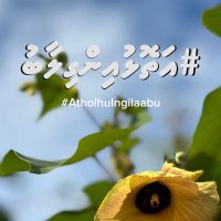 #AtholhuInGilaab (@rehendikhadijaa) 's Twitter Profile Photo