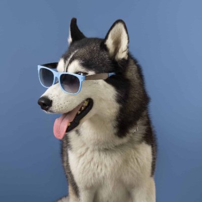 Entache253021's profile picture. 140$