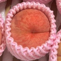 りんごころころ (@ringokorok59601) 's Twitter Profile Photo