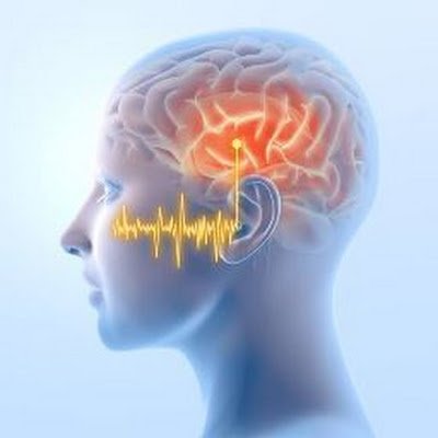 alimazhar68276's profile picture. 