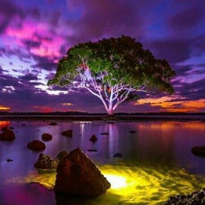 Ines_168's profile picture. Un alma en calma es capaz de lograrlo absolutamente todo. 💫