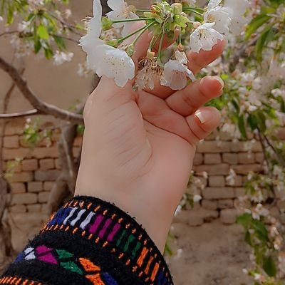 kokab_nasir's profile picture. 