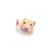 あすか_相互フォロー (@s__sparkle) 's Twitter Profile