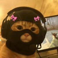 จีปุง^ྀི (@meowmeowkong) 's Twitter Profile