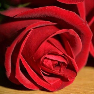 Pareja muy sexual y dispuesta, por ahora buscamos solo chicas o parejas para encuentros blizz e intercambios . SOLOS SI presentarse con foto, Avda en SL y SDC