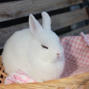 みさんのプロフィール画像