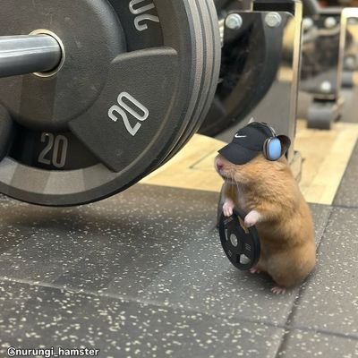 jing_2w's profile picture. 