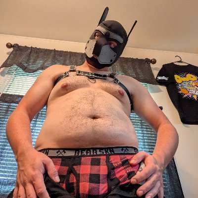 25yo pup / babyfur / abdl / diaper bro 🐶🐾🏳️‍🌈. Wisconsin is home.  This account is 🔞 18+ only  Partnered