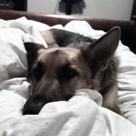 danieledwa_'s profile picture. Tech-adjacent human in a digital world