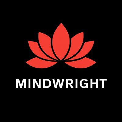 Mindwright's profile picture. A different kind of clarity begins here. Introducing #Mindwright: A mirror that adapts to your signal. Tap the link below to begin. 👇 🪷