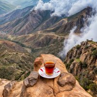 محمد أحمد بارحمة (@maab360) 's Twitter Profile Photo