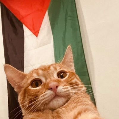 F#ck Zionism Cat Profile
