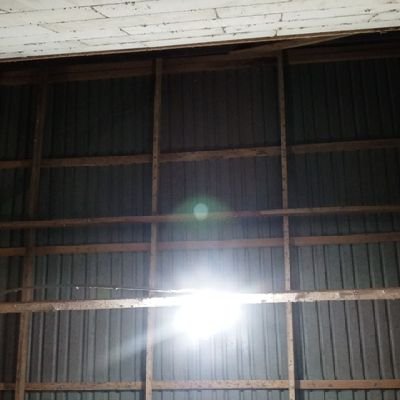 onoyirt1196287's profile picture. 