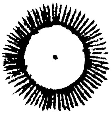 REBIS_INTL's profile picture. ⊙⊙⊙⊙⊙⊙⊙⊙⊙

SEPTEMBER DROP IS NOW LIVE*