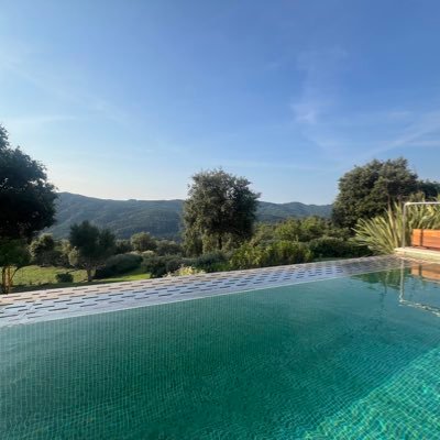 pmsheehy's profile picture. 