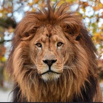 Vineetayad93357's profile picture. ❣️ Don't take it personally 💯