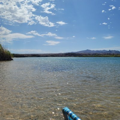 YesChub's profile picture. 