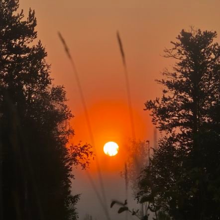 Rojhelat1946's profile picture. #Kurdistan