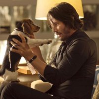 Keanu Reeves (@keanureeve2439) 's Twitter Profile