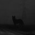 k9_reaper | T.I.A Profile picture