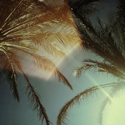 iamjem3en's profile picture. 