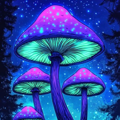 A Doctor, A Medical Advisor, A Licensed Mycologist & A Trip expert. Send a Message To Embark On Your Healing and Recreational Journey. NATURE HEALS