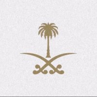 Saleh Alsayer 🇸🇦 (@wzu1_) 's Twitter Profile