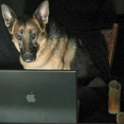 5factChallenge's profile picture. https://t.co/4tZD6h0G2w