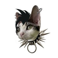 麻辣麻辣（Spicy and Spicy） (@spicyandspicy6) 's Twitter Profile Photo