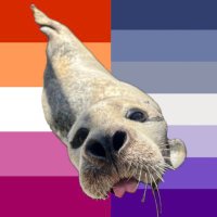 โน เฃช ๏น๐๏นโ๐๐ผ๐โ๏น๐๏นโน เฃช ห (@average_dog_boy) 's Twitter Profile