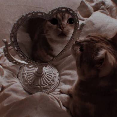 jaswhim's profile picture. ✩𝓯𝓵𝓸𝔀𝓮𝓻 𝓰𝓲𝓻𝓵✩ ~19 minors dni🚫❤️‍🩹 ~edtwt ~not single ~ high cw🥀 ~my diary