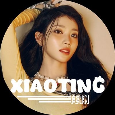 XIAOTING TEAM Profile