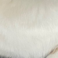 PAM (@pam77_ab) 's Twitter Profile