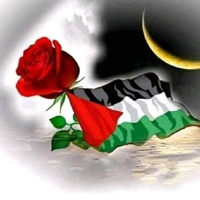 داعـــم❤️🔥مقيد لاتلغي المتابعه Profile