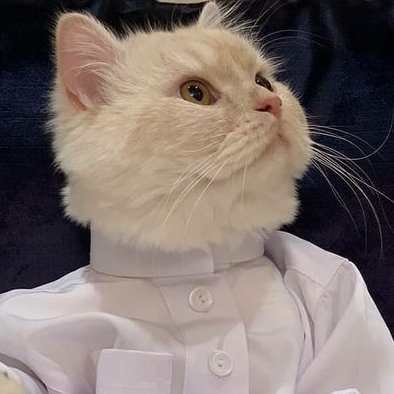 ALearningLad's profile picture. You were created from soil, and so was I