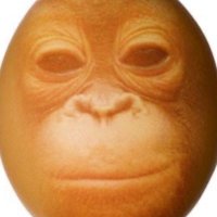 Fro (@frothegoatt) 's Twitter Profile Photo Fro (@frothegoatt) 's Twitter Profile Photo