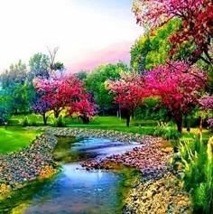 samirah74555964's profile picture. معلمة صفوف اولية