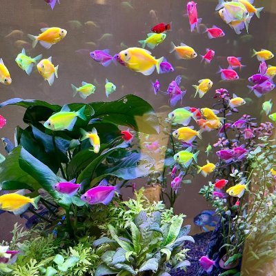 hana_mori_days's profile picture. 投資は未来を変え、旅行は人生を豊かにします。株式と不動産で努力しながら、東アジアの文化と食べ物を探索しています。投資し続け、止まることなく成長！ #女性投資家 #東アジア旅行 #資産形成