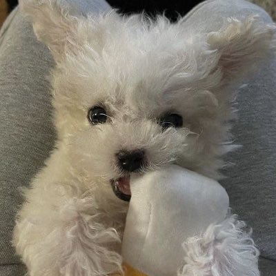 je4rchive's profile picture. 