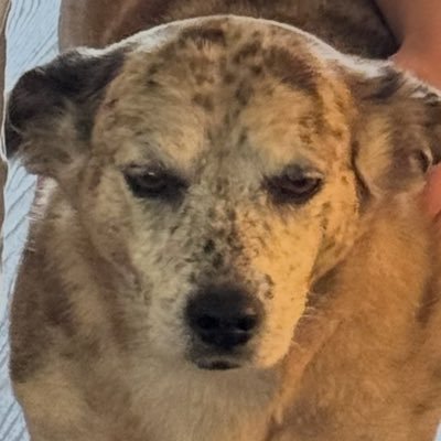 kellan33's profile picture. 25