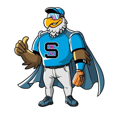SWAG BASEBALL (Formerly Wow Factor National Scout 2025) | Established 2023 | 31 College Commits | 2 MLB Draft Picks | swagbaseballnation@gmail.com