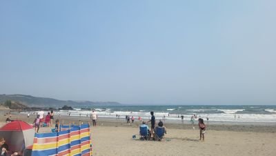 chelseafowelsx's profile picture. lost access to my old account