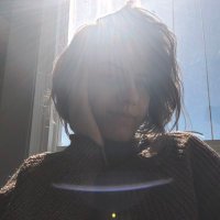 trento chocolate (@_trentos) 's Twitter Profile